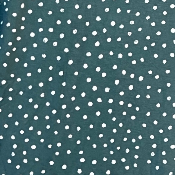 FINAL PRICE NWT 41 Hawthorn Dress - Picture 8 of 9